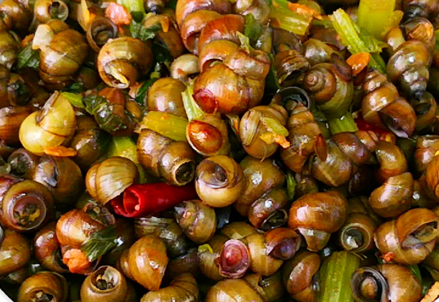 螺蛳怎么煮才入味肉不老,怎么煮螺蛳才能把肉挑出来