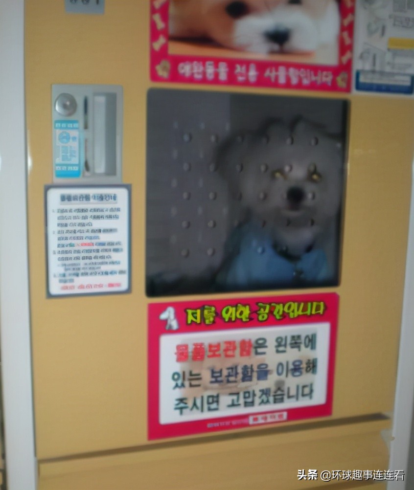 50张惊艳世界的图片,100张颠覆三观图片