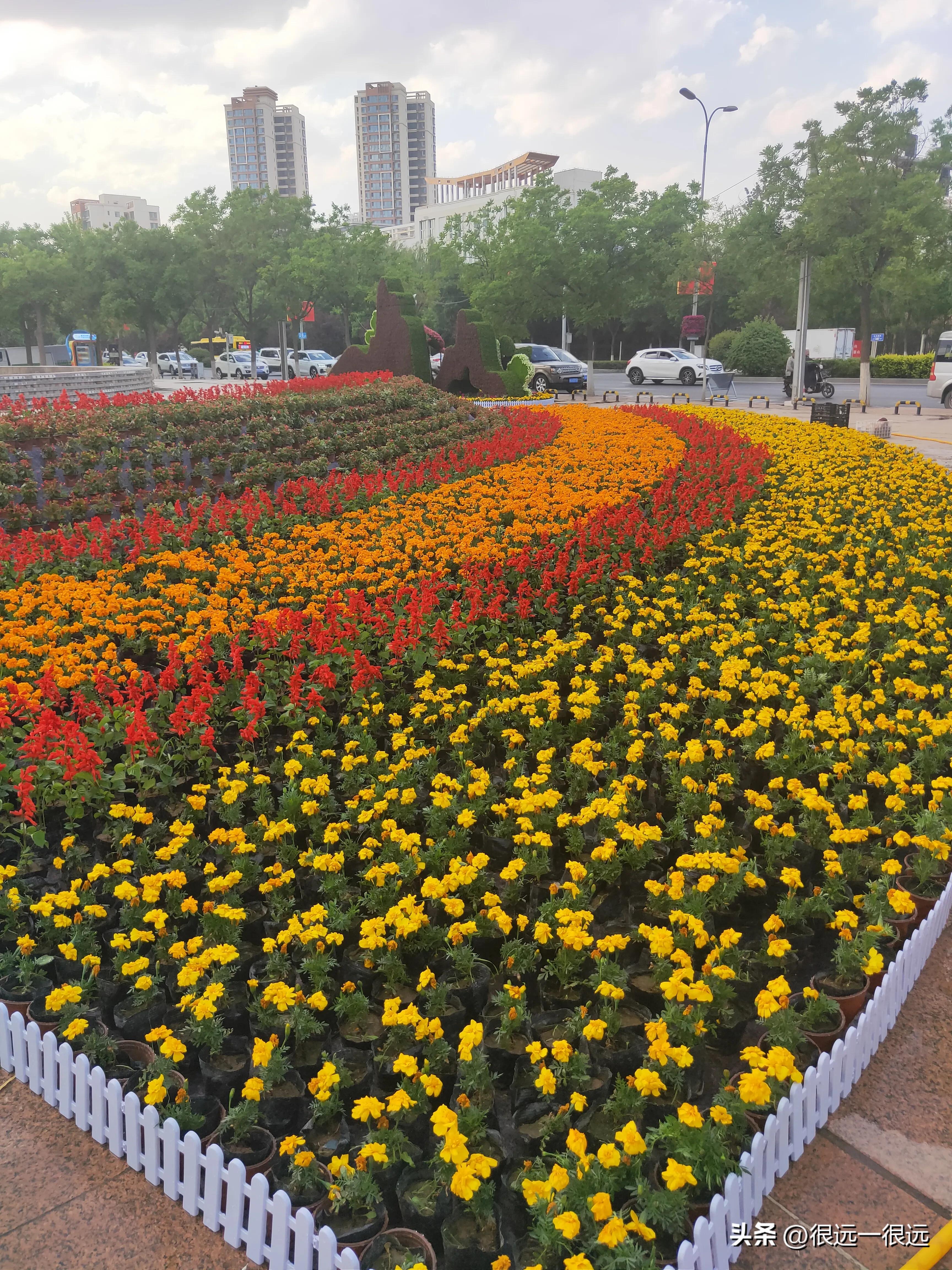 名人阿七的“辉煌”人生故事二