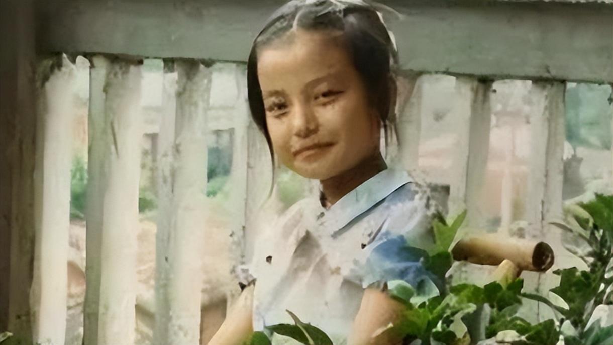 赵薇事件后续报道,现在赵薇事件怎样了真实报道