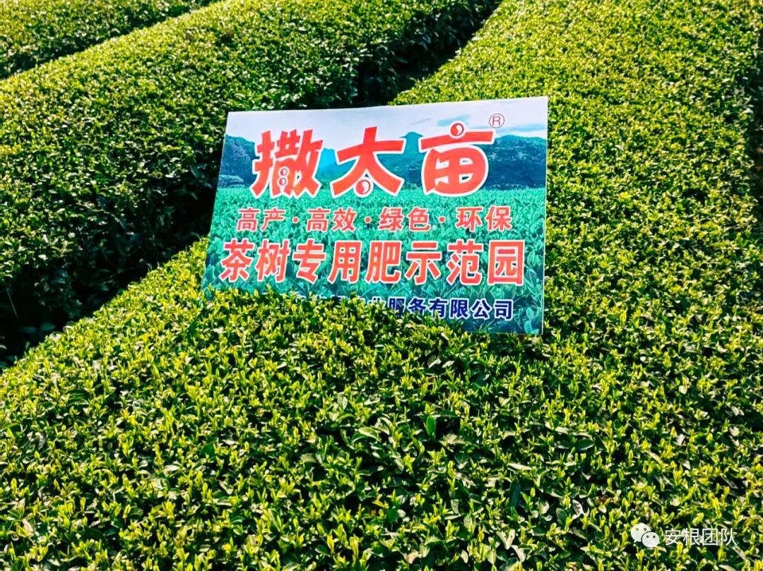 如何引导农民合作社发展,我国农民合作社发展的政策机遇