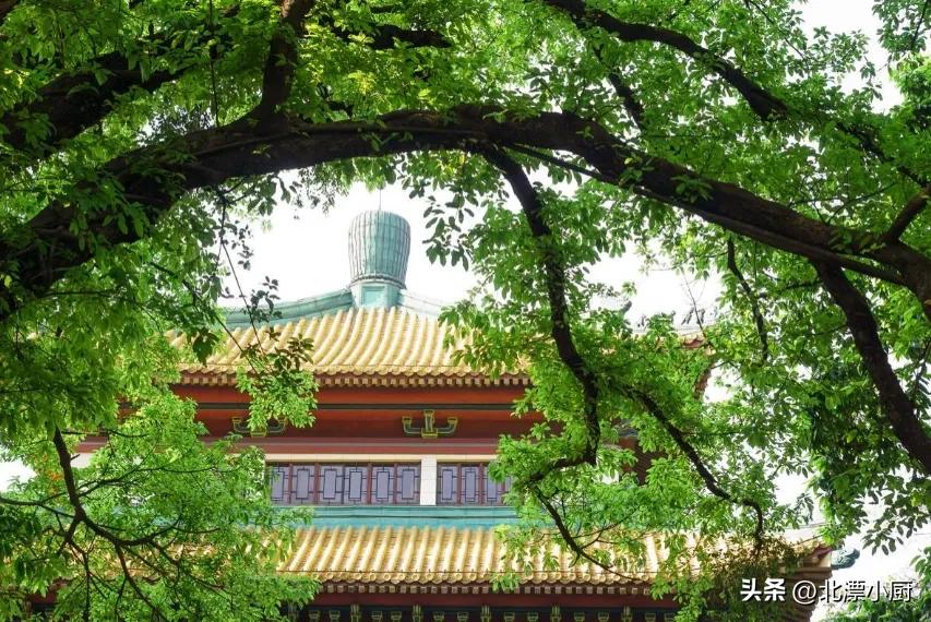 门前树好或坏,门前最旺三种树