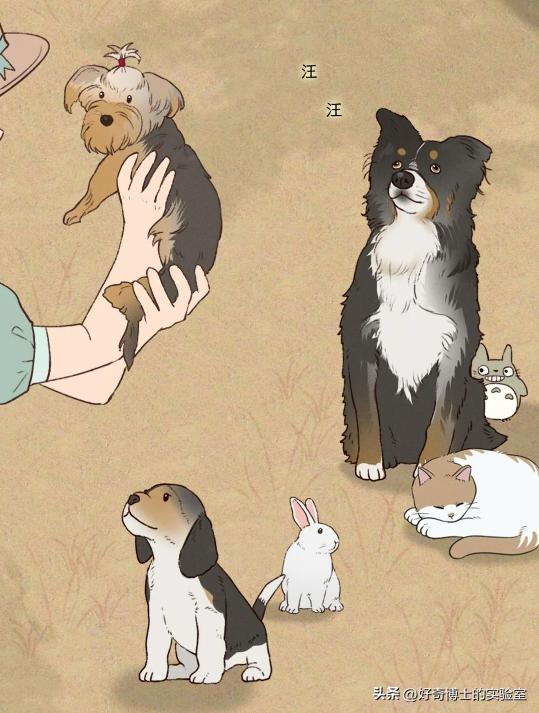 狗朝着没人的地方狂吠，是看到了什么「不干净」的东西吗？