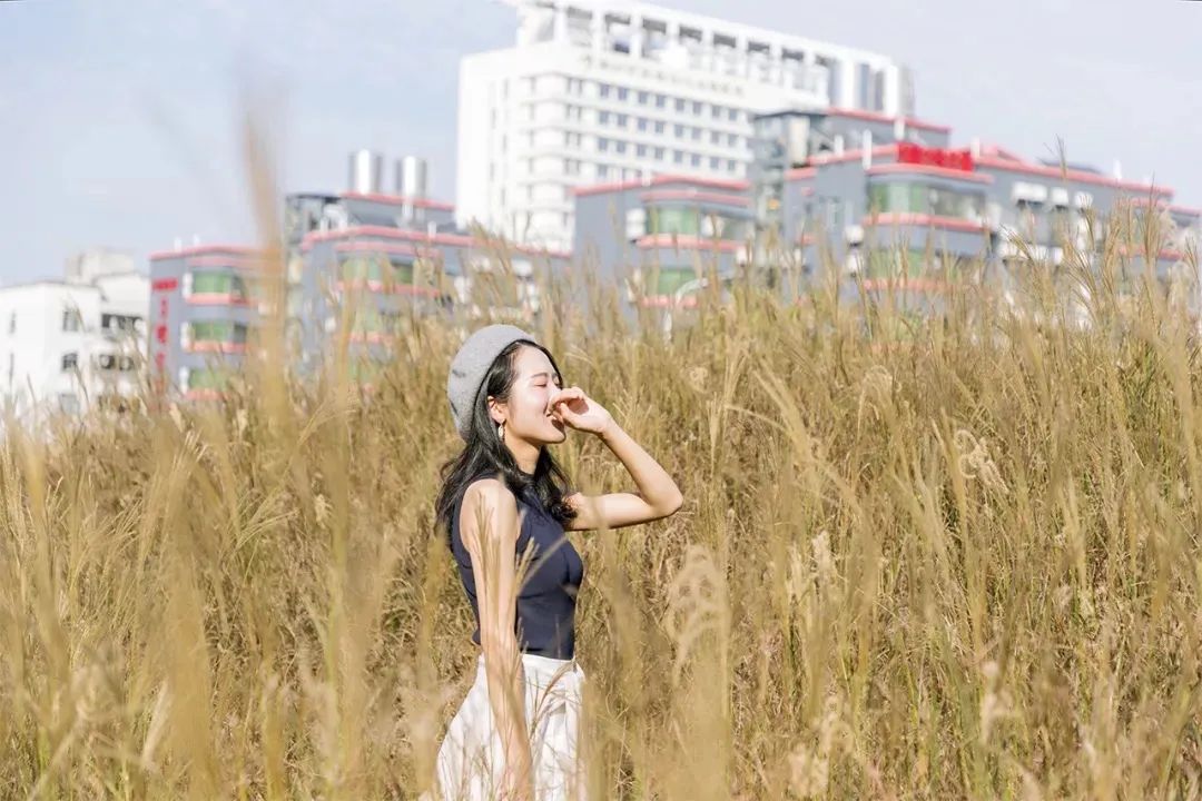 深圳小众好玩的景点排名榜,深圳小众海边旅游