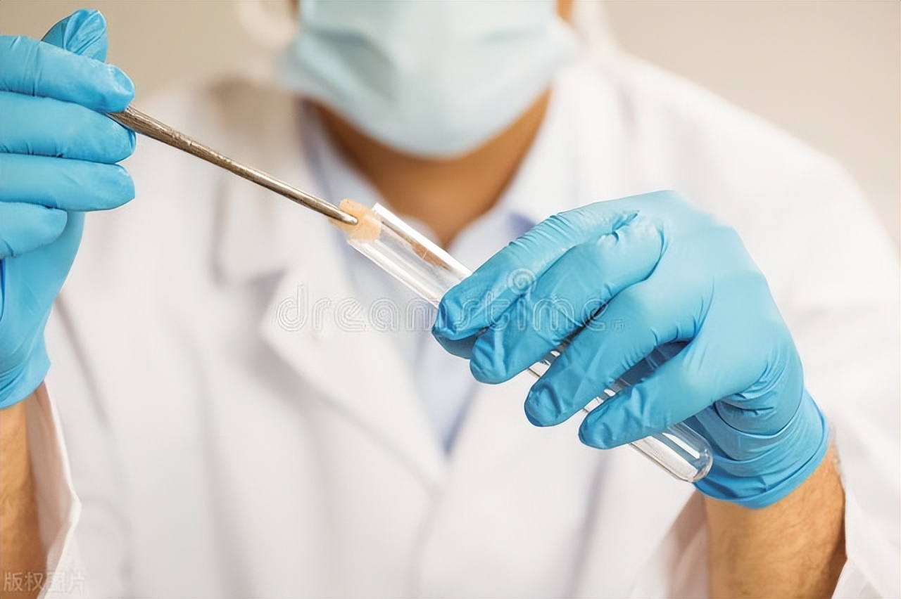 食品科学与工程研究生就业前景,广西科技大学食品科学就业前景