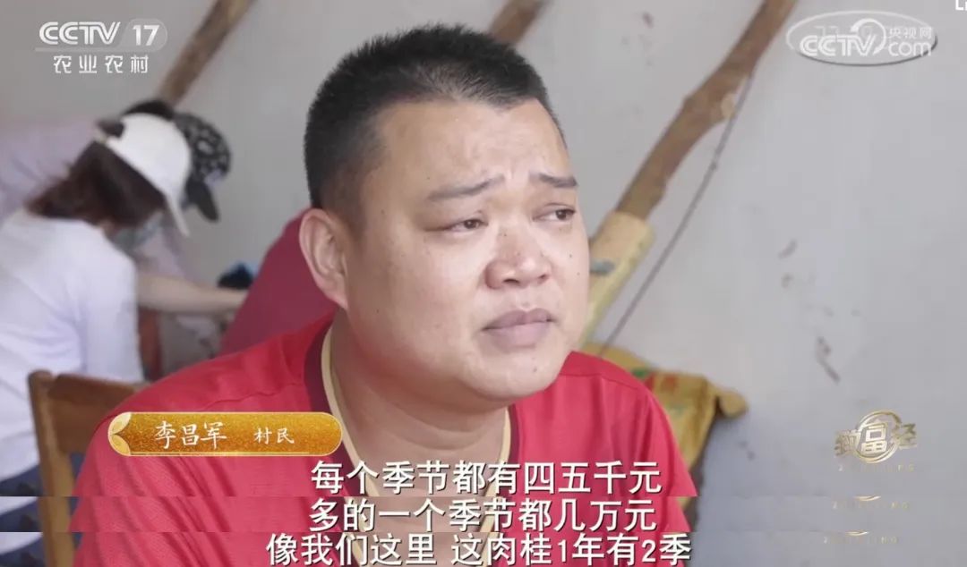 一根“树皮”引发的国际知名品牌