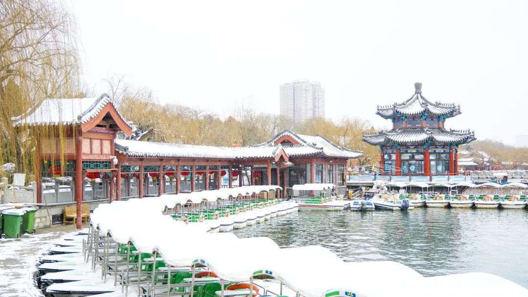 冬天的济南美丽雪景,济南的冬天平常与不平常的冬景