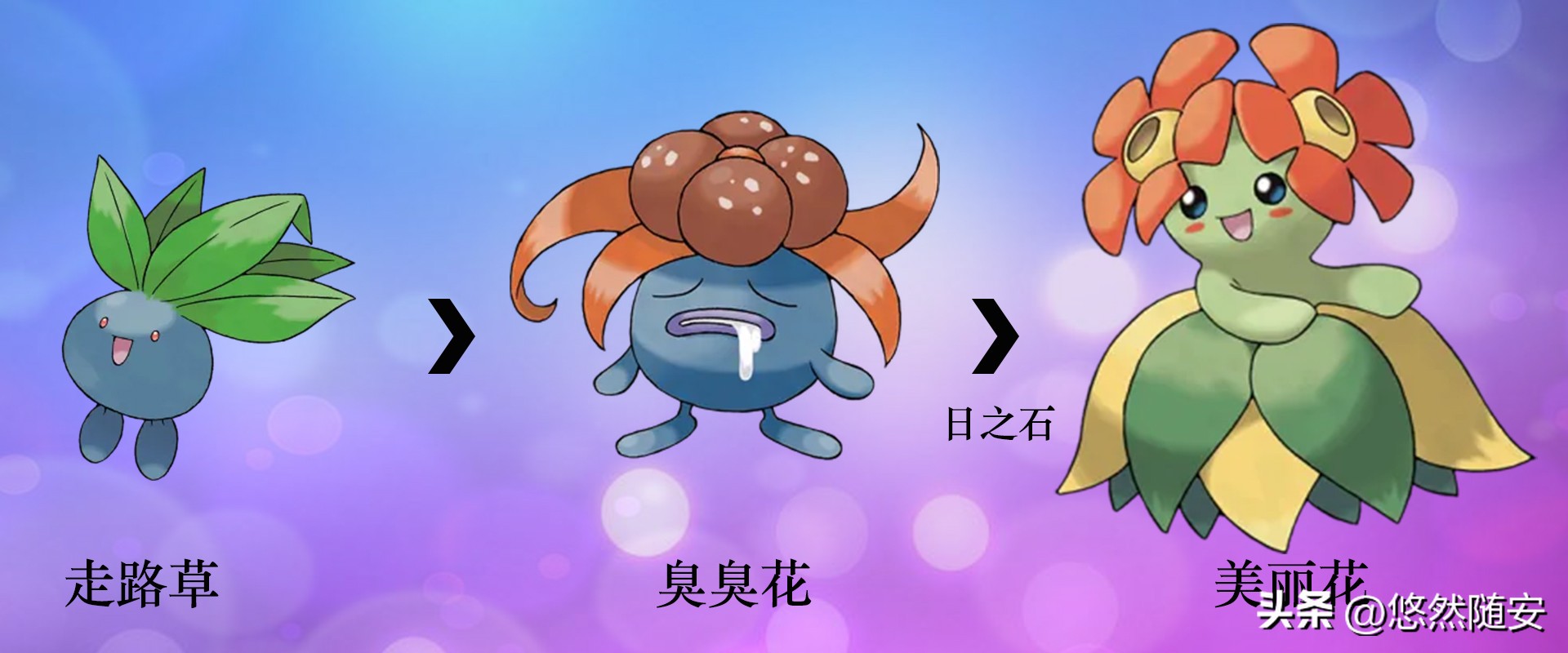 宝可梦所有御三家进化形态,宝可梦小火狐进化形态