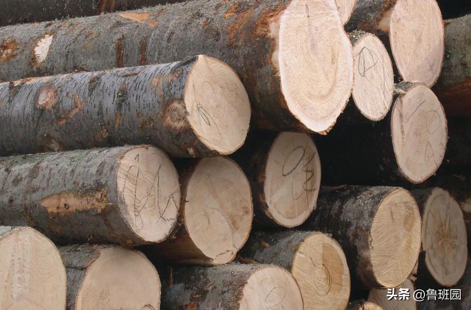 实木家具必须要配木地板吗,实木家具也需要胶