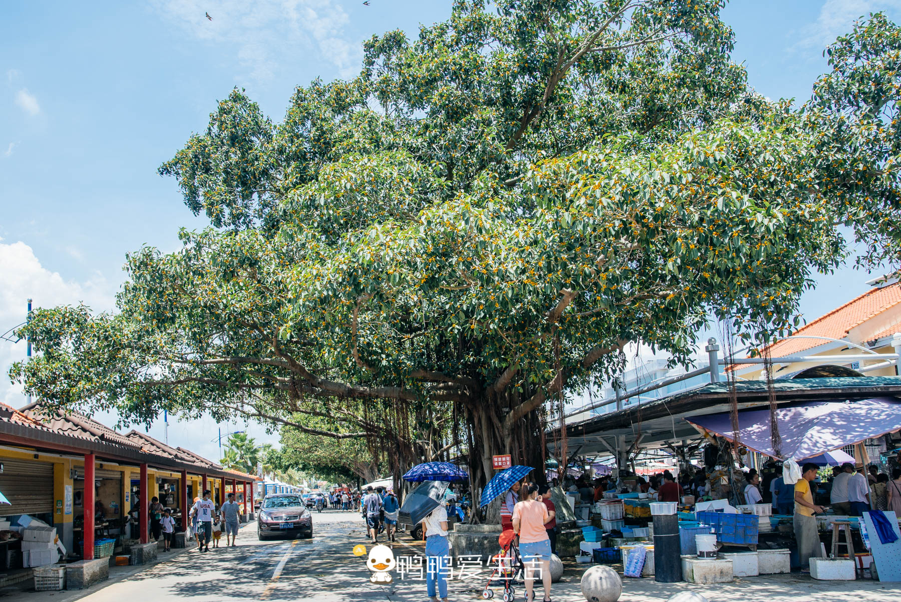 南沙十九涌渔人码头路边海鲜,广州十九涌海鲜码头