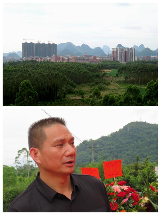 奇怪！夜莺白天欢唱，透过烟花弹幕，是怎样的留桂林“居八桂”