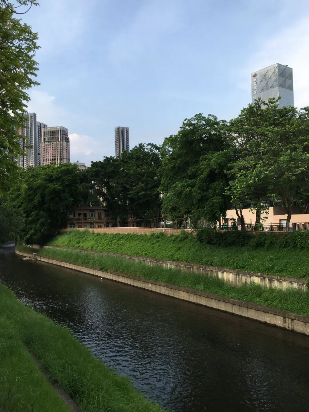 《旭光骑行深圳》第35站——罗湖区笋岗街道