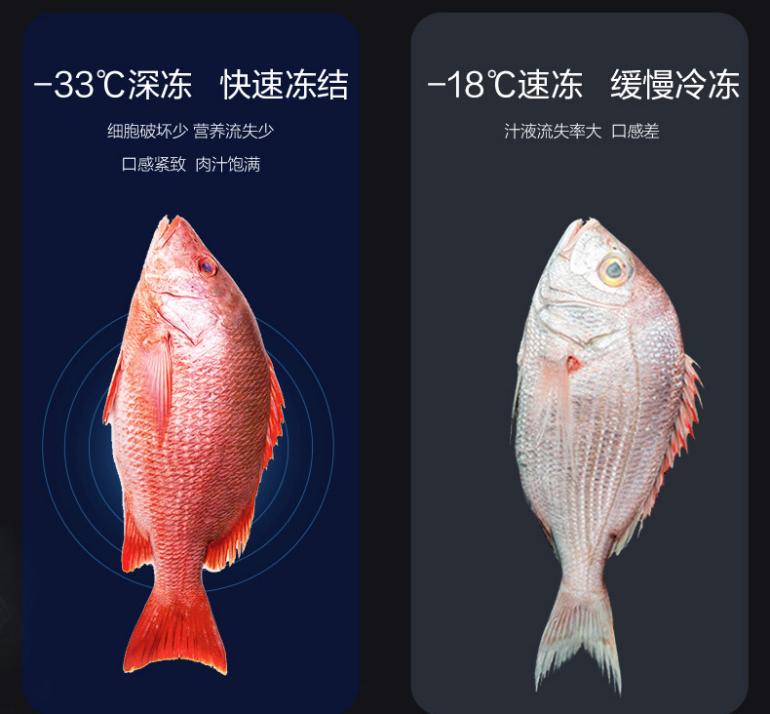 鏍煎姏鍐扮鏅跺紭bcd-320wpqg,鏍煎姏鍐扮鏅跺紭bcd-425eqg