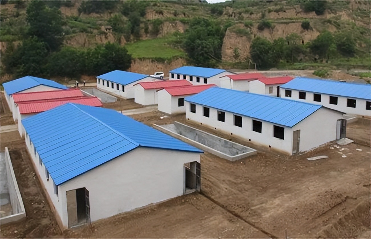 肉牛养殖技术西门塔尔牛养殖视频,生牛养殖和肉牛养殖的区别