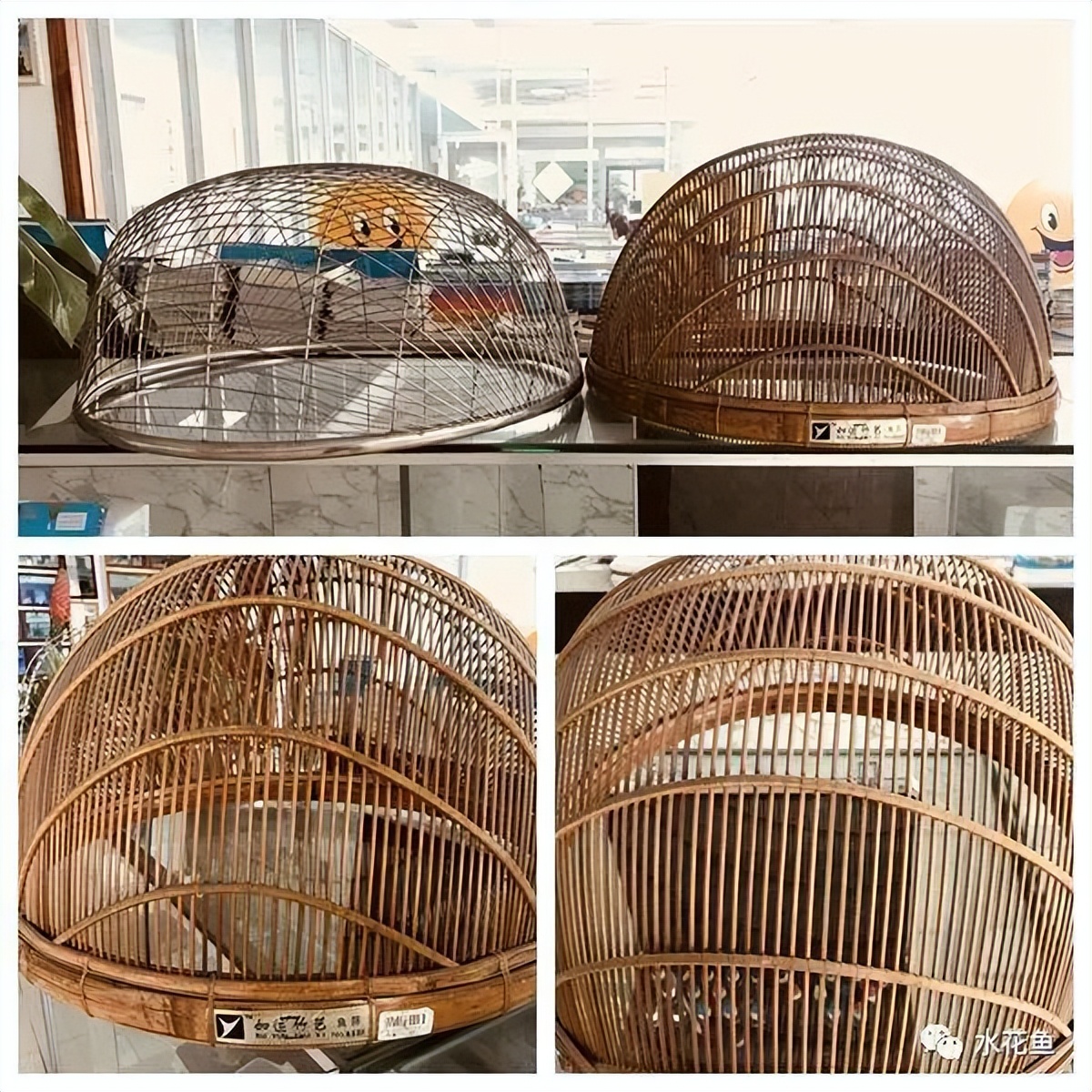 筛鱼神器小筛,4厘米宽的鱼筛可以筛多大的鱼