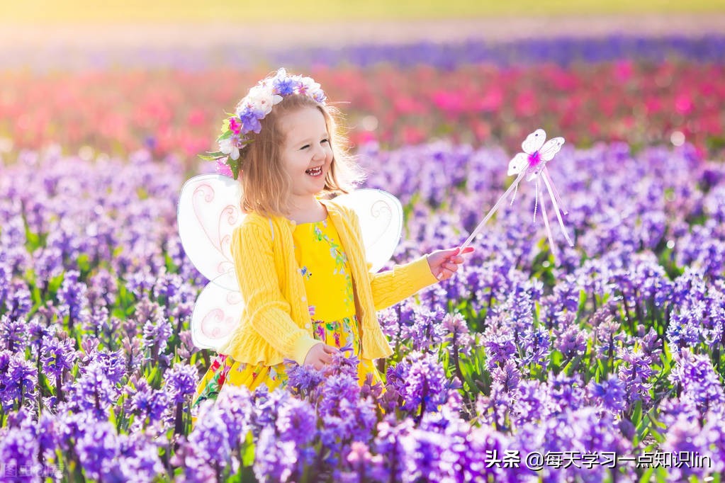 老人把房子给孙女后没有得到赡养，可以把房子要回来吗？