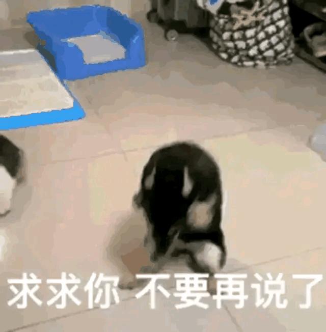 坦克世界amx50-100还有人玩吗,坦克世界amx50100有必要保留吗