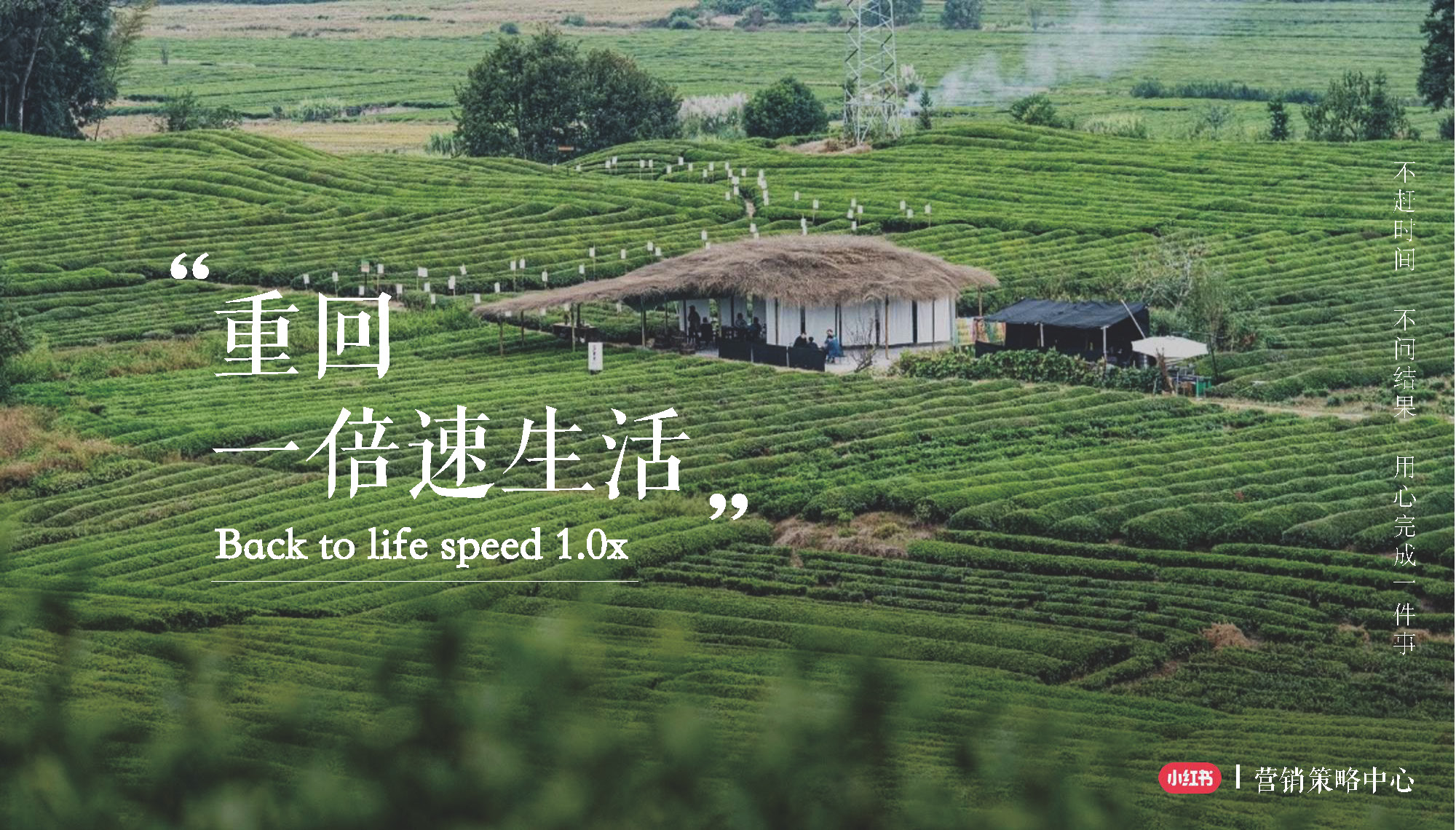 小红书市场营销策划书,小红书2023引流