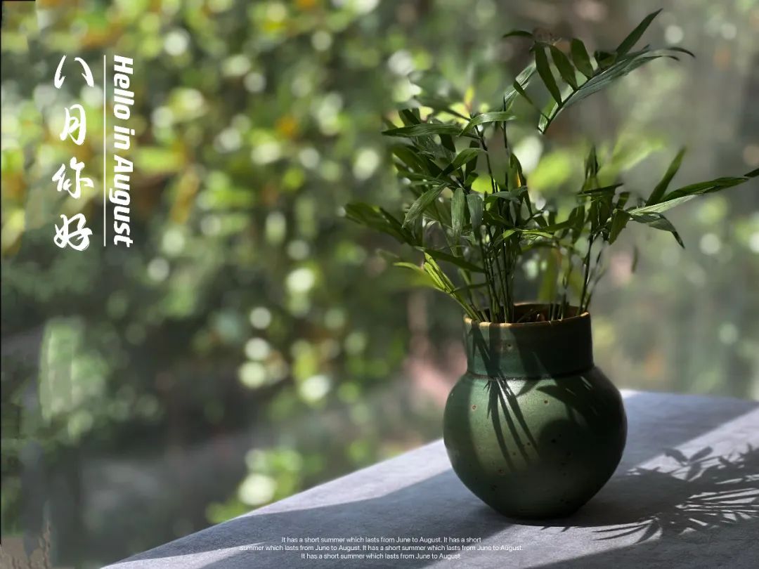 白茶储存铝箔自封袋发霉了,白茶发霉了怎么办