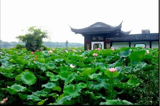 杭州好玩的地方和景点排行榜,杭州周边好玩的地方景点免费