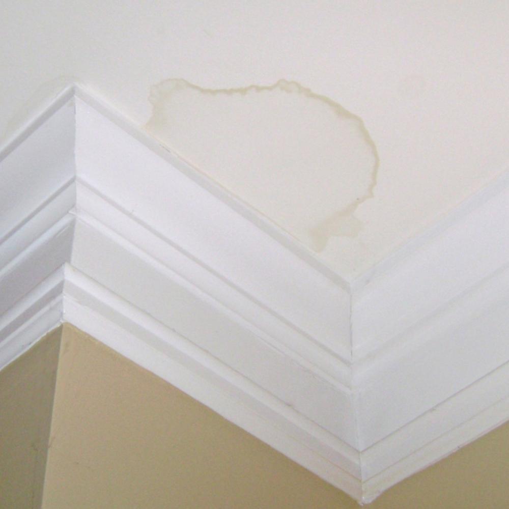 鏁欎綘瑙ｅ喅瀹跺涵闂,100涓搴慨鐞嗗皬濡欐嫑