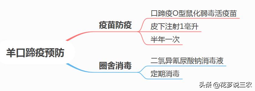 羊口蹄疫预防时间表,养羊不打口蹄疫疫苗行不行