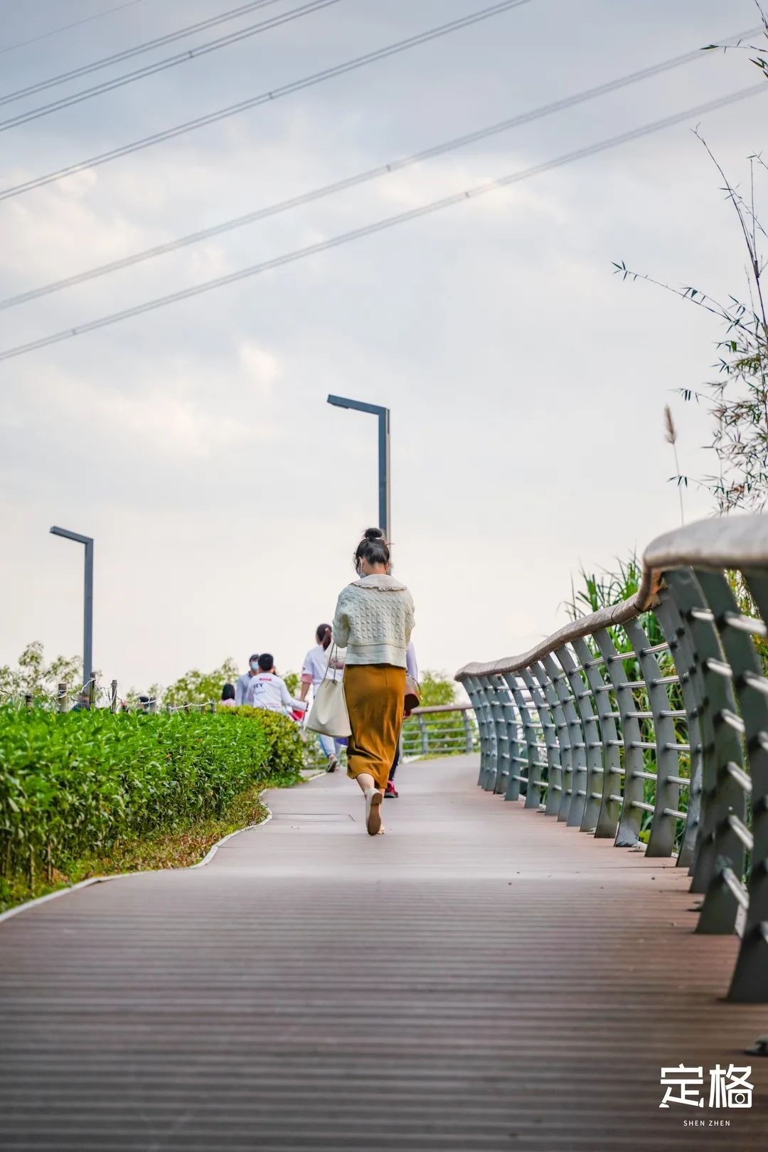 淘金山绿道揽胜,淘金山绿道预约