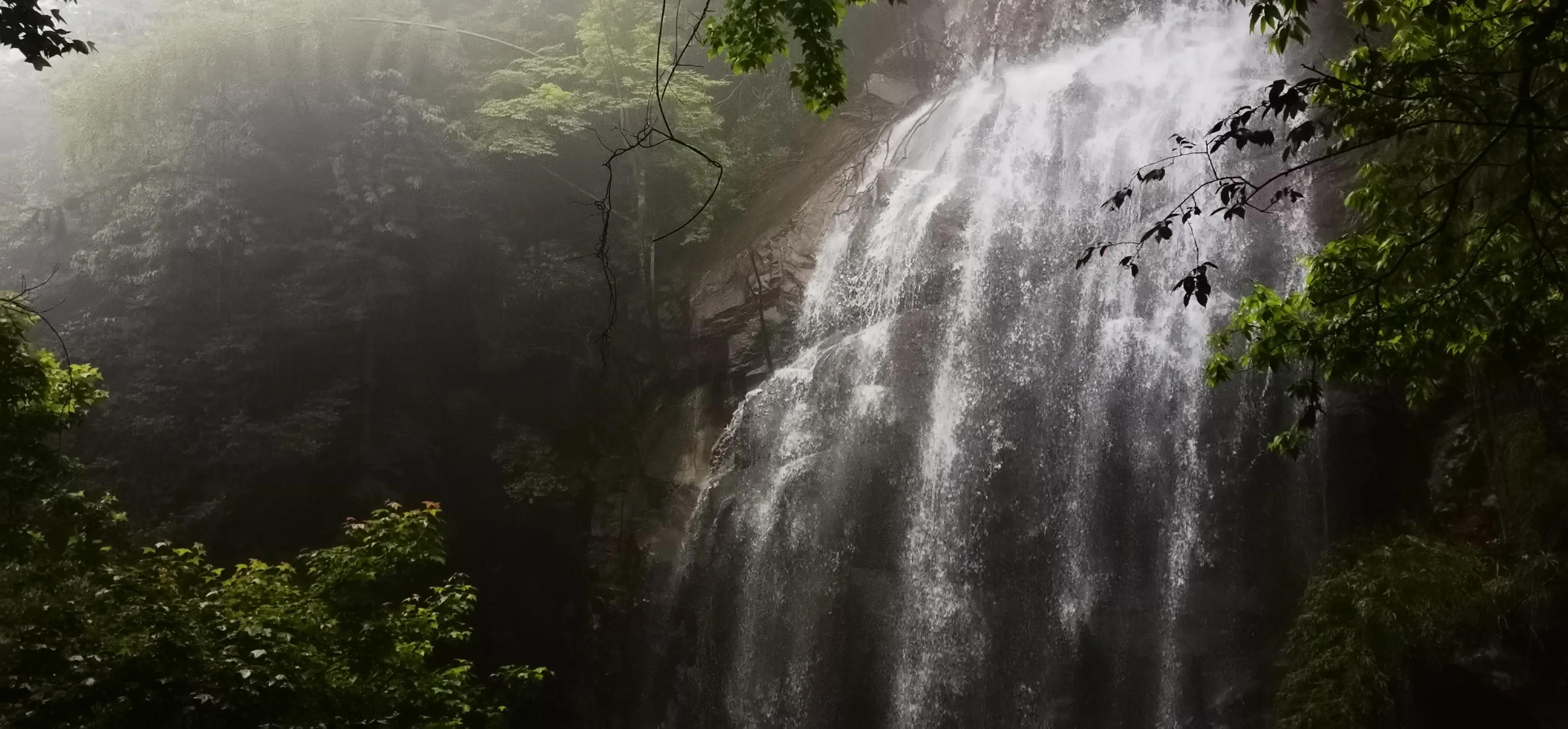 浏阳大围山森林公园浏阳河源头,大围山杜鹃花在哪个景点看