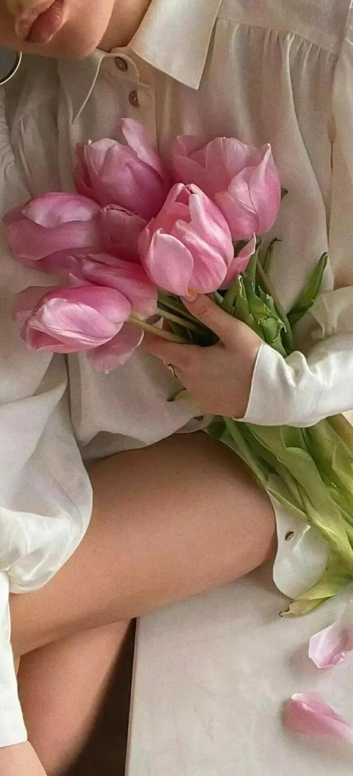 上班励志高清壁纸4k全屏电脑壁纸,黑鲨壁纸动态壁纸高清全屏90帧