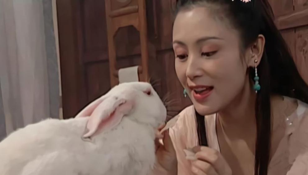 猪八戒走后为何高翠兰才有孩子,猪八戒去取经后高翠兰的结局如何