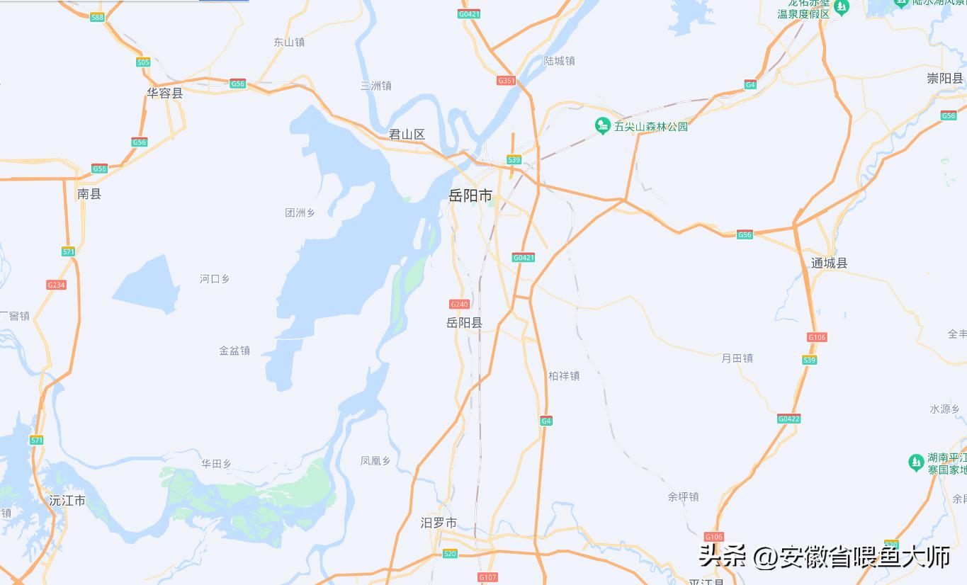 岳阳钓白条，大的有八两，网友:这是白条？这难道不是翘嘴？