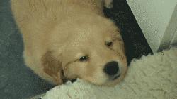 打嗝不停怎么办?这几招最灵