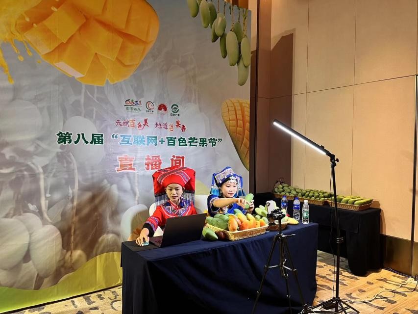 京东商城芒果,京东百色芒果节