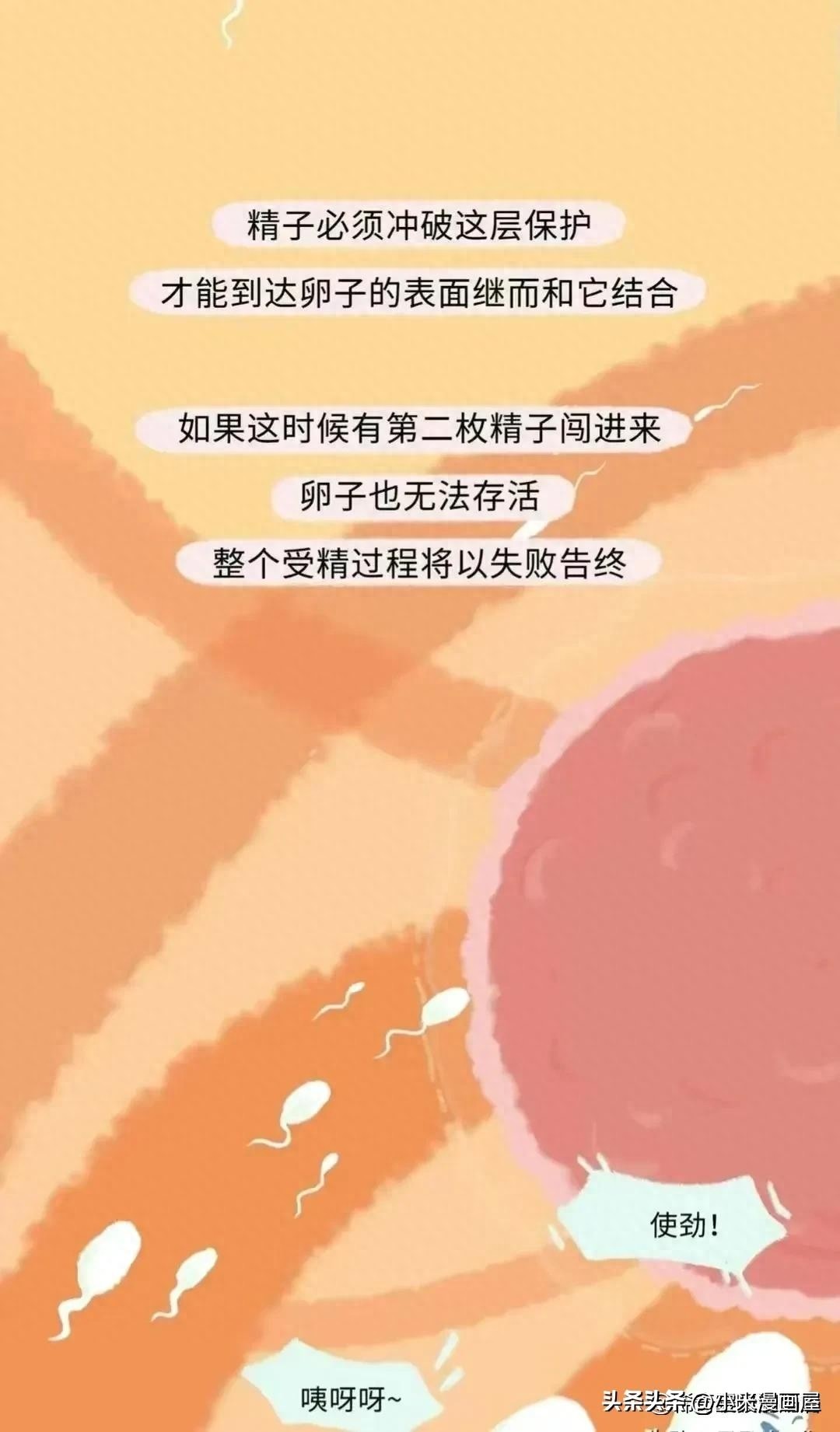 小蝌蚪找妈妈故事完整漫画,漫画中小蝌蚪是什么