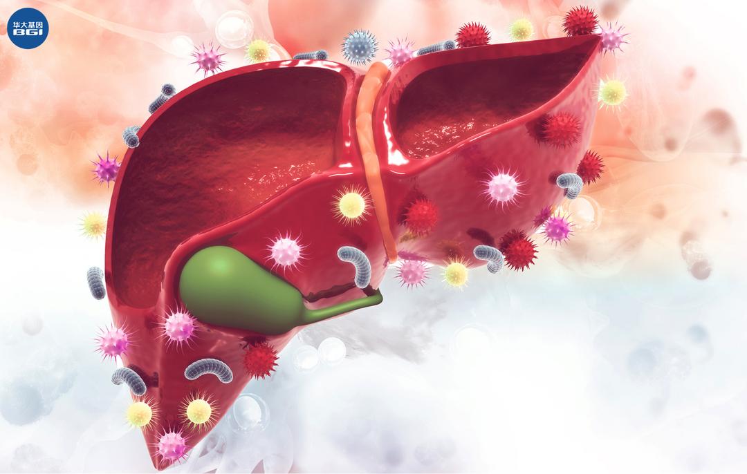戊型肝炎会引起肝癌吗,由肝炎引起肝癌的比例