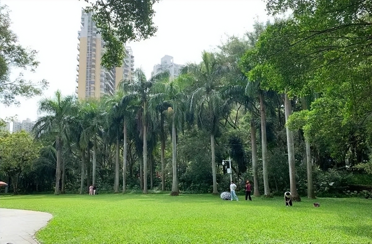 深圳福田免费公园排名前十名,福田中心公园游玩攻略