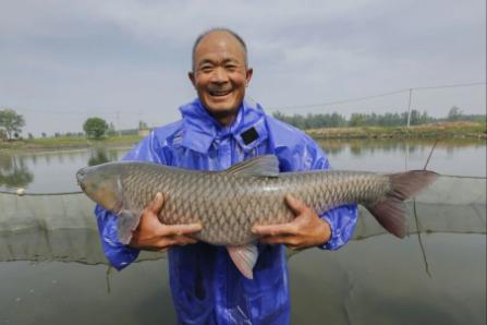 中国最大淡水鱼长江白鲟证实灭绝,长江什么鱼最珍稀中华鲟