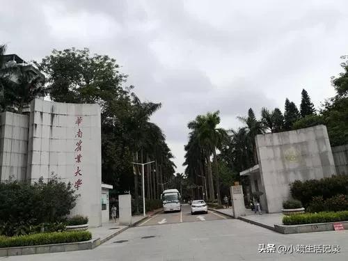 我广东人,28岁今年,在广州黄埔年收入3000万,现在广州买车了