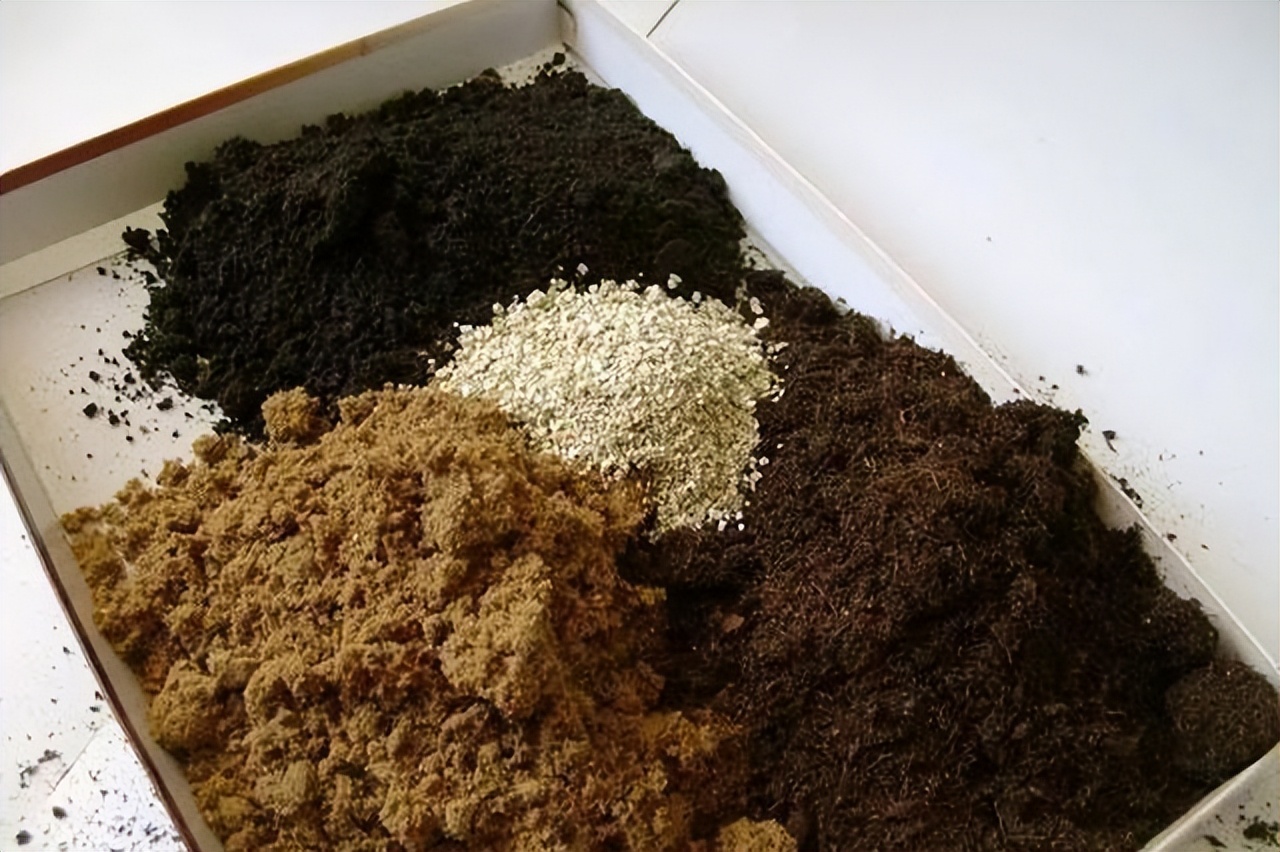 养花换掉的土,养花换下来的旧土用什么药杀菌好