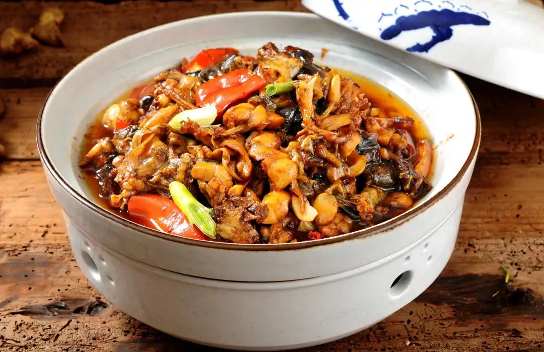 朱虹解读,朱虹讲述