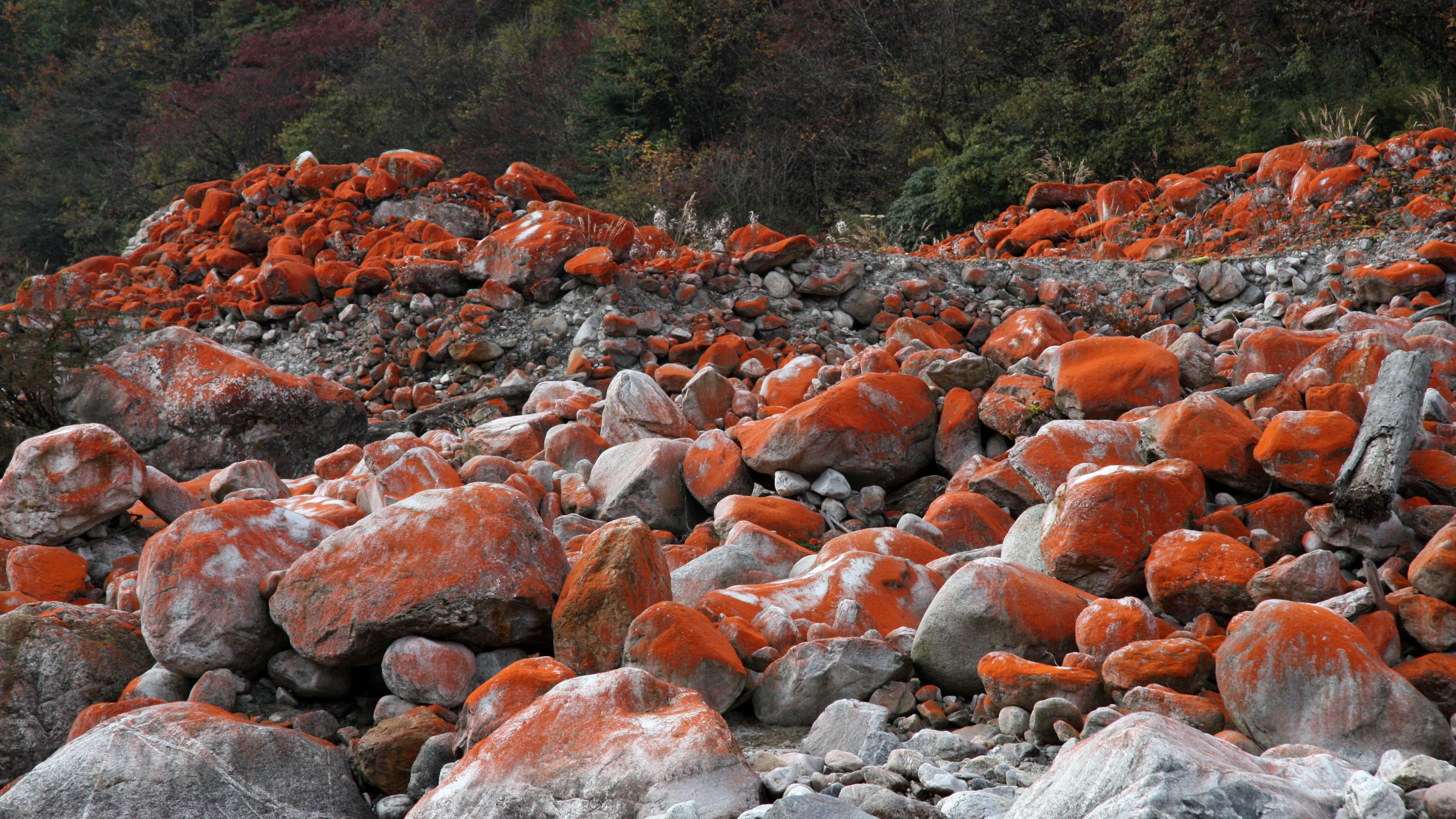 海螺沟5天自驾游路线推荐,海螺沟旅游攻略自驾游路线推荐