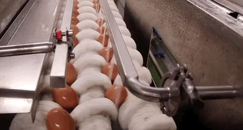 旺旺被误伤,旺旺遭人半夜攻击