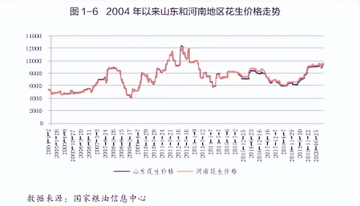 花生期货新手入门,花生期货2210