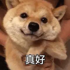 烤烤烤……万物皆可烤！齐齐哈尔梅里斯烤肉图鉴来了