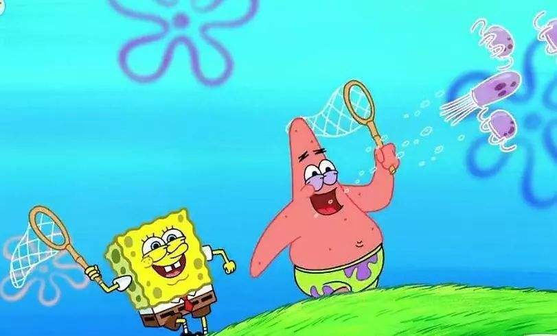 小破站被举报,小破站为什么被举报