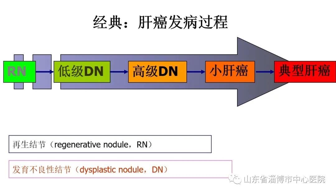 肝胆特异性对比剂检查的意义,肝胆特异性对比剂影像表现