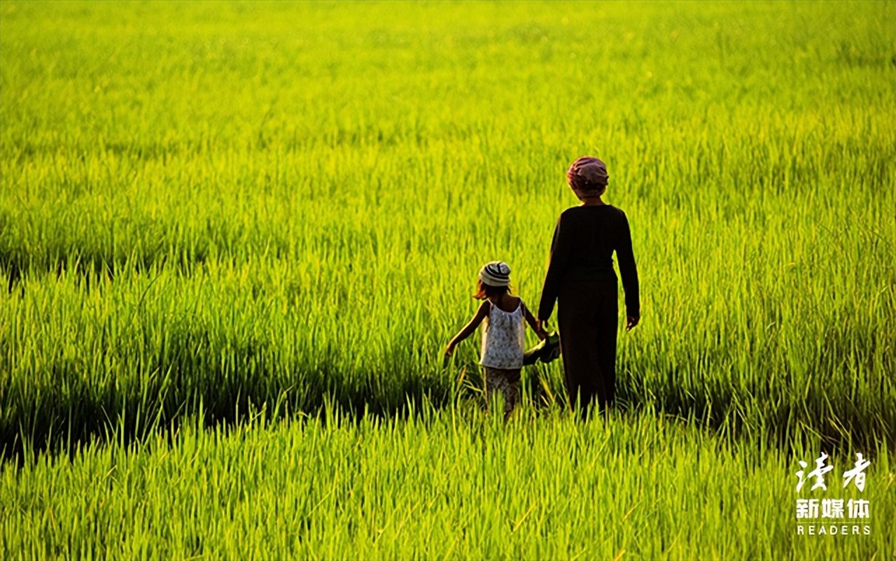 全网心疼的2分钟网课监控视频曝光：请抱抱那个努力的“笨”小孩