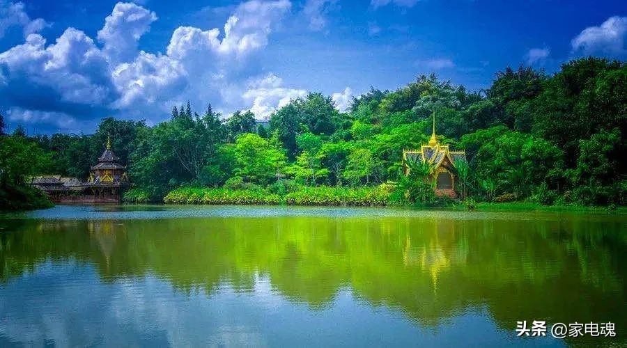 直播带货能买到好东西,家电品牌直播带货