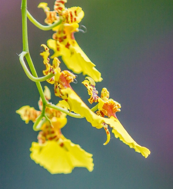 不管夫妻还是情人，若对方不联系你了，这么处理才最聪明