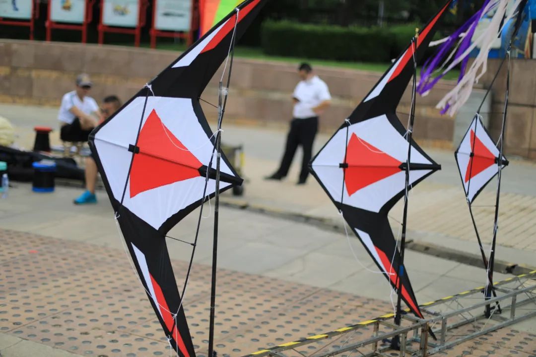 大连新成立的公司有哪些,大连新成立的国有企业